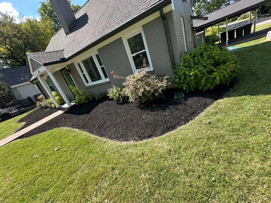 Trabajo de TYM Landscaping 5