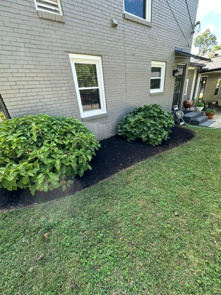 Trabajo de TYM Landscaping 6