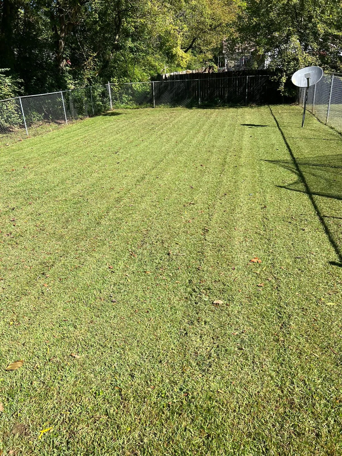Trabajo de TYM Landscaping 7