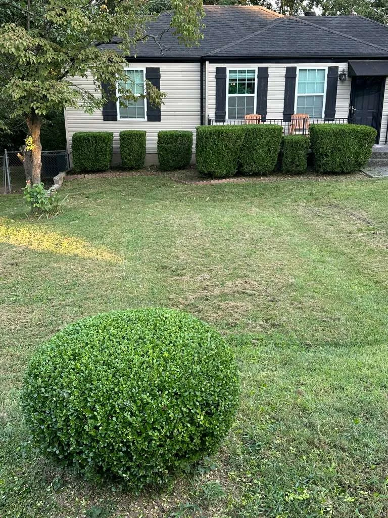 Trabajo de TYM Landscaping 8