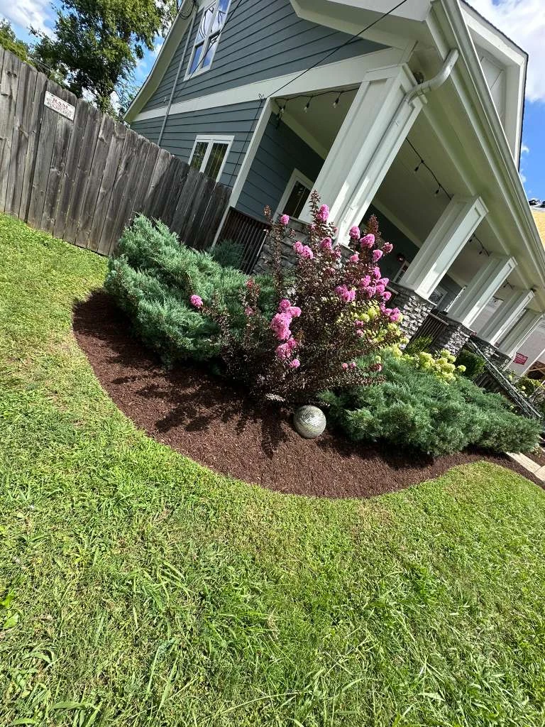 Trabajo de TYM Landscaping 11
