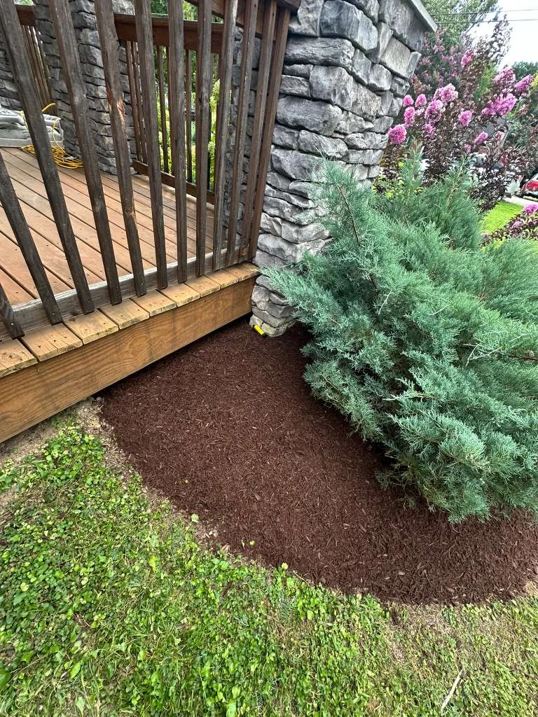 Trabajo de TYM Landscaping 12