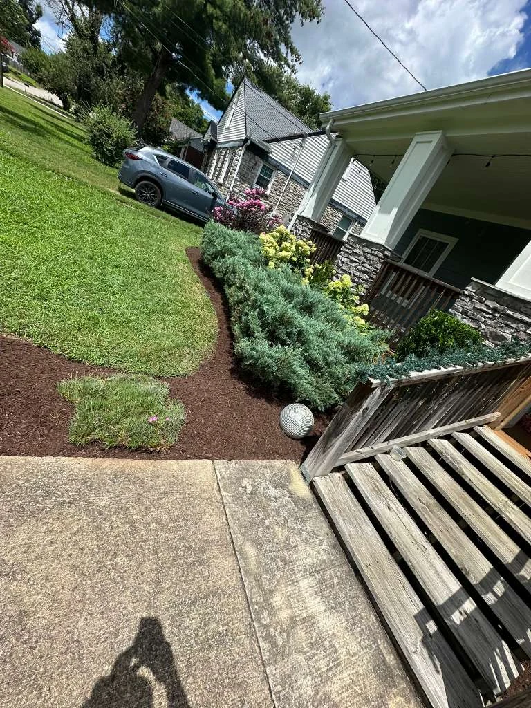Trabajo de TYM Landscaping 13