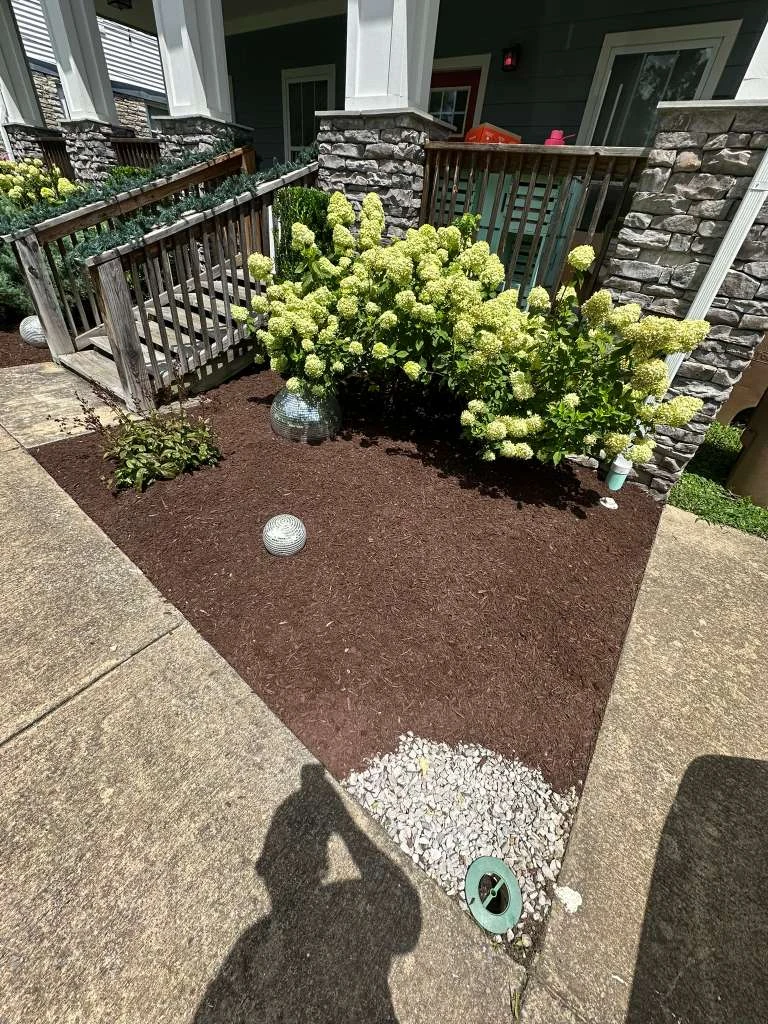 Trabajo de TYM Landscaping 14