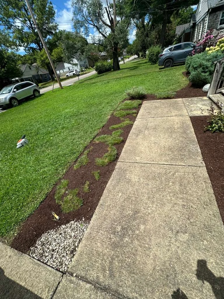 Trabajo de TYM Landscaping 15