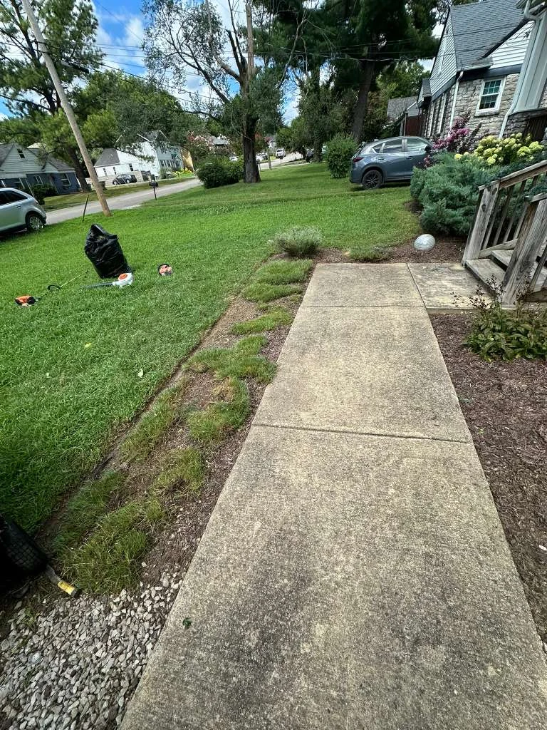 Trabajo de TYM Landscaping 19