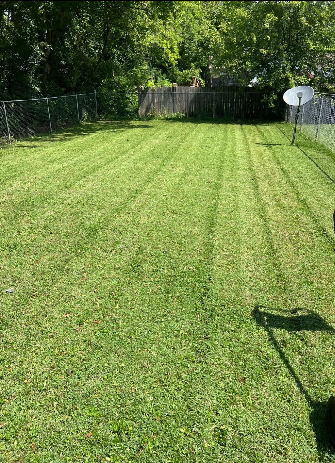 Trabajo de TYM Landscaping 20