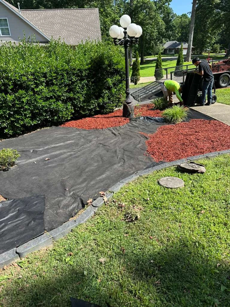 Trabajo de TYM Landscaping 24