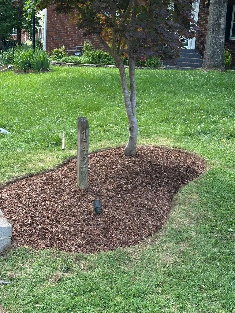 Trabajo de TYM Landscaping 28