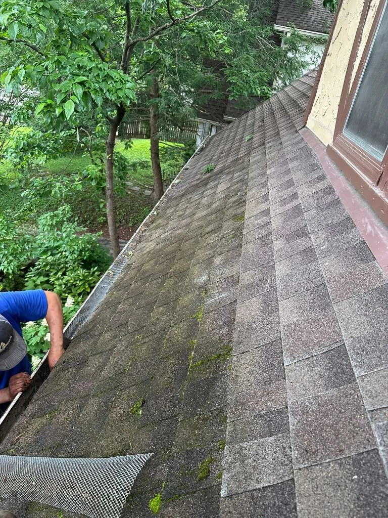 Trabajo de TYM Landscaping 30