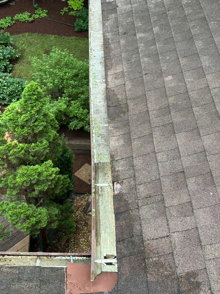 Trabajo de TYM Landscaping 31