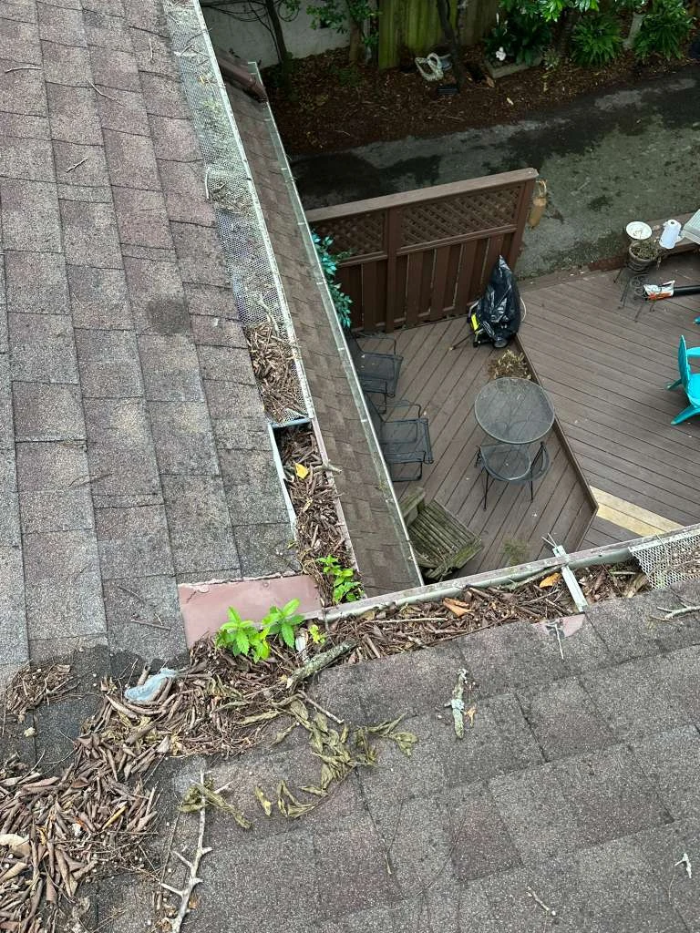 Trabajo de TYM Landscaping 32