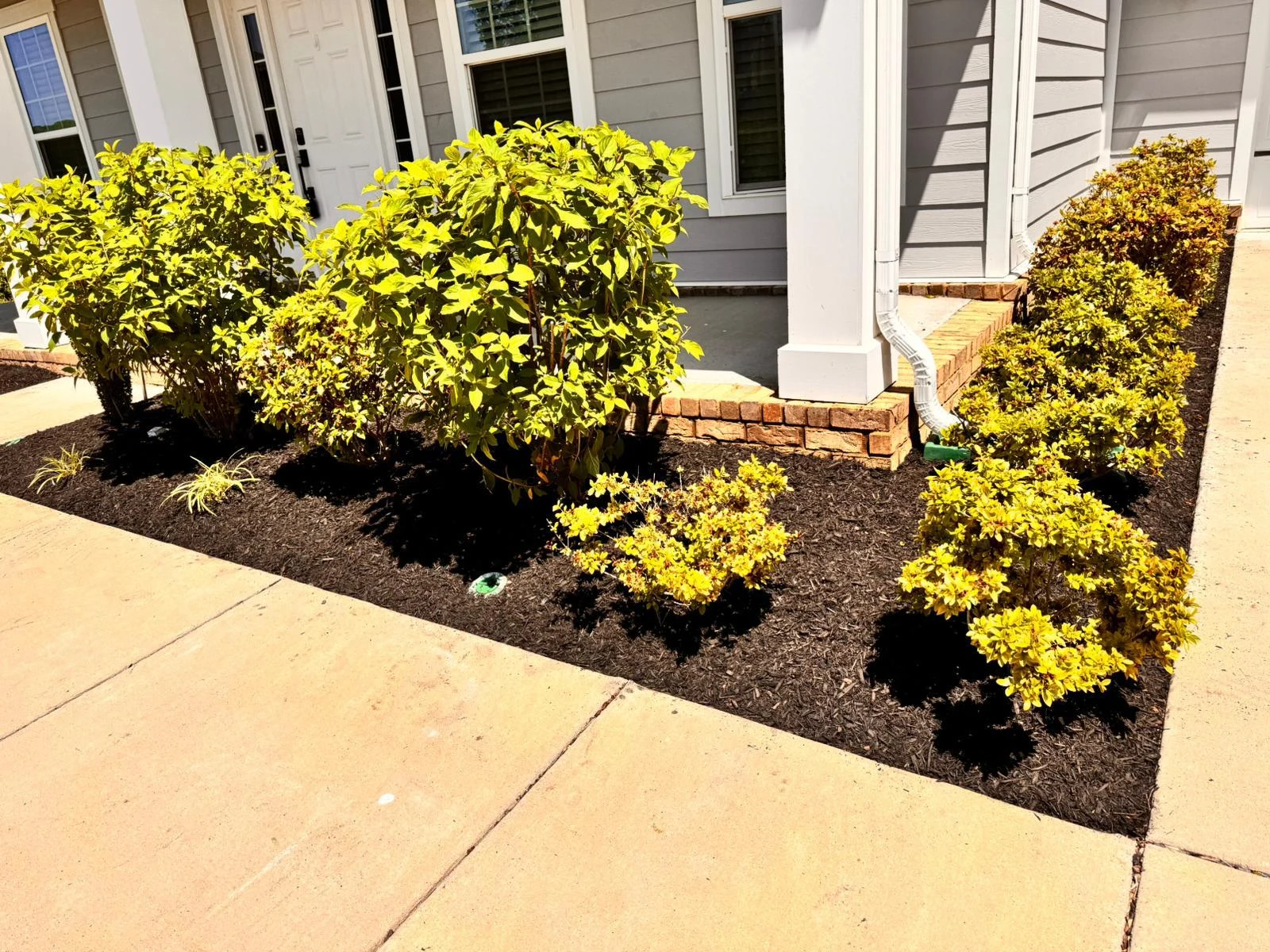 Trabajo de TYM Landscaping 34