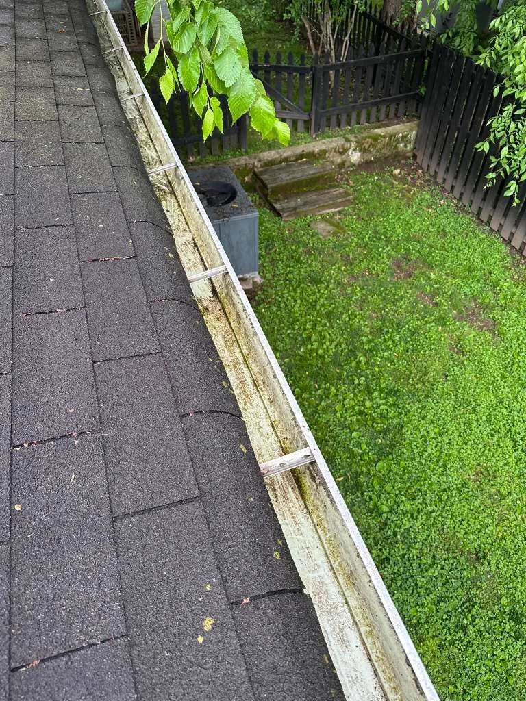 Trabajo de TYM Landscaping 36