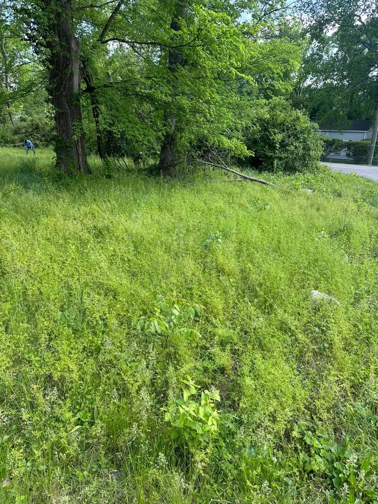 Trabajo de TYM Landscaping 40