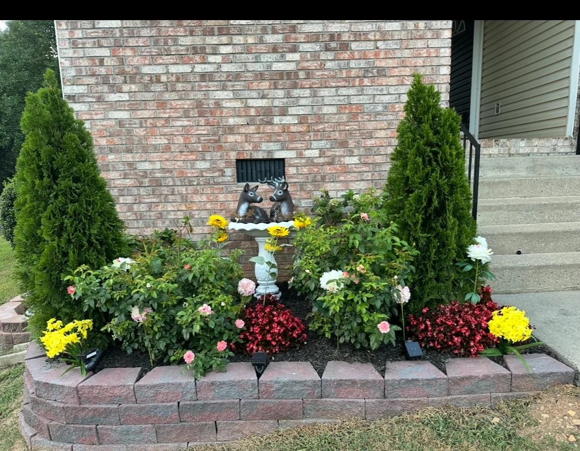 Trabajo de TYM Landscaping 43